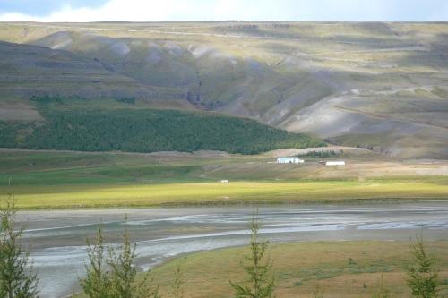 Maatilan kotimetsä karussa islantilaisessa maisemassa